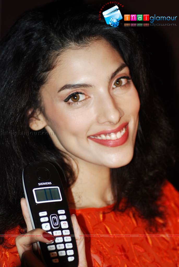 Indrani Das Gupta launches Siemens Gigaset cordless phone Event hd photo